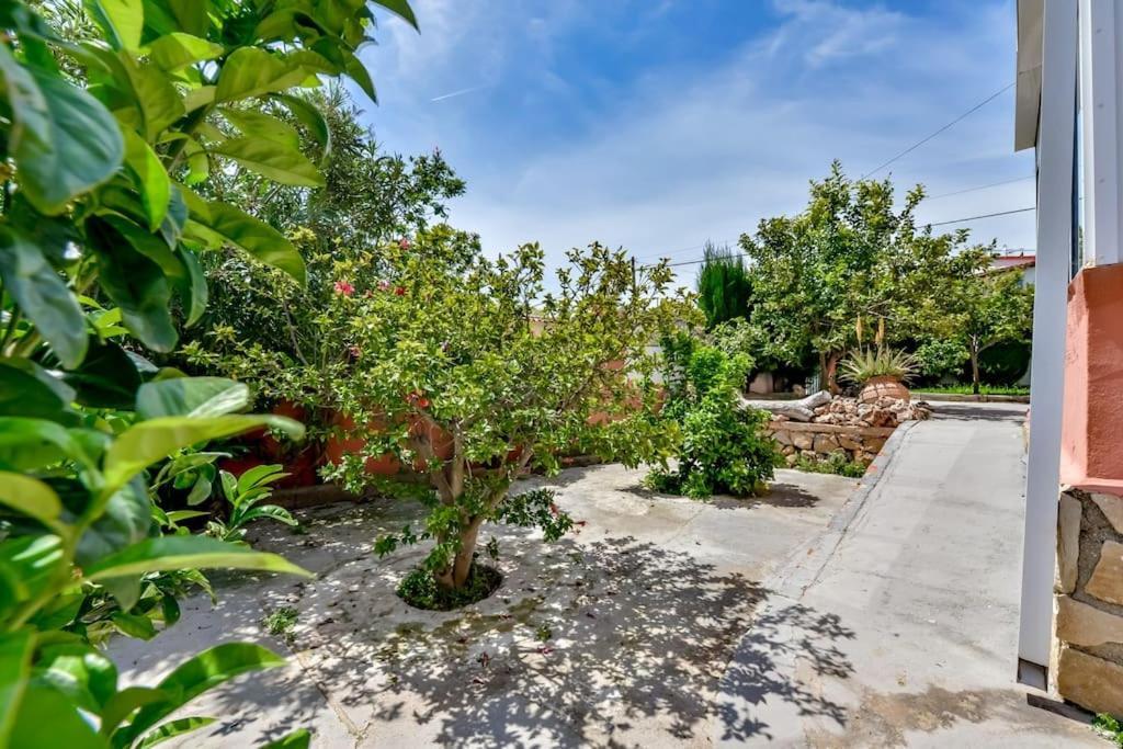 Villas Guzman - Mouna Calpe Bagian luar foto